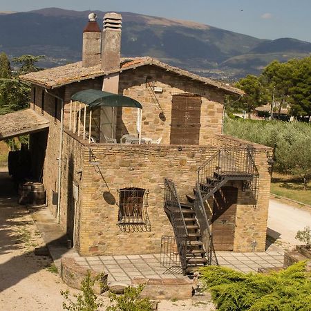 Country House Carmelita Limigiano Екстер'єр фото