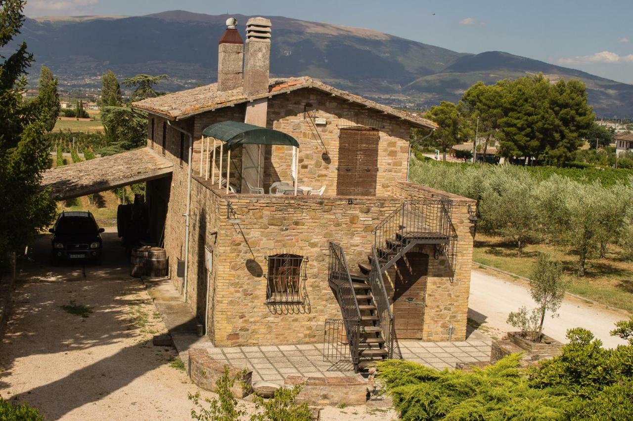 Country House Carmelita Limigiano Екстер'єр фото
